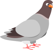 pigeon-clipart-1